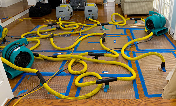 Professional Crawl Space Water Removal technician working in Midland, MI
